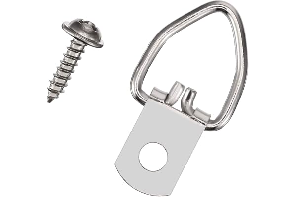 D-ring bildhängare (100-pack) slitstark med skruvar | för hängande klocka målningar konstverk bild målning ram korsstygn