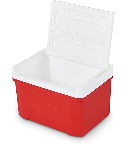 Camping Coolers & Cool Bags Online : Buy Coolers & Cool Bags For Camping In India