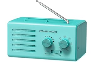 PADWA LIFESTYLE Radio Transistor Am/FM portátil con excelente recepción, Altavoz Integrado, Conector para Auriculares, Compatible con USB, Ideal para Uso en el hogar, al Aire Libre y en emergencias.（Azul Verde）