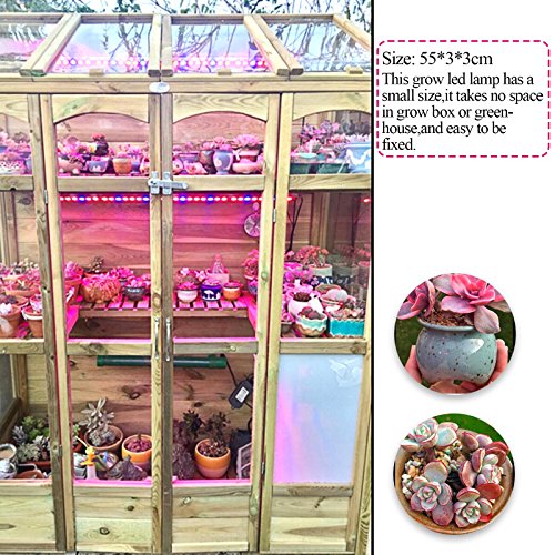 Roleadro ® 54w Led Grow Light Bar für Gewächshaus Pflanze IP65 Waterproof Blue and Red Light 550x30x30mm (1 ,54w) - 4