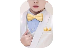 Barry.Wang Papillon pre-legato di seta paisley papillon fazzoletto bambino compleanno matrimonio foto formale festa banchetto