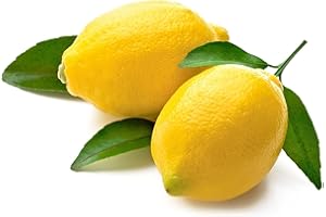 YOUDREAMITALY CITRON PRIMOFIORE A FOGLIA ( KG. 1) ÉGALEMENT NÉCESSAIRE POUR FAIRE DU LIMONCELLO