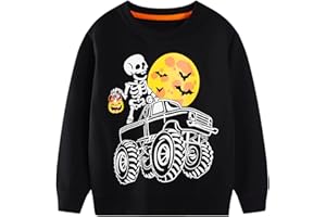 Codkkre Felpa Bambino Pullover Bimbo Dinosauro in Cotone Girocollo Sportivo Sweatshirt Ragazzi Autunno Inverno Felpa Bambini 2-7 Anni