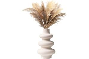 ‎KINGBAR Kingbar Vase Für Pampasgras Weiß, Moderne Keramik Deko Vase Für Getrocknete Blumen, Donut Spiral Blumenvase Runde Vase Mit Loch