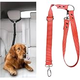 Ara&ccedil; İ&ccedil;i K&ouml;pek Emniyet Tasması, Ayarlanabilir Metal Kancalı (Kırmızı)