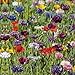 Produktbild 60 Servietten Blumenwiese Flower Field 33 x 33 cm 3 lagig, Lunch Servietten Napkins Tissues, für den gedeckten Tisch, Party, Fest, Thema, Veranstaltung
