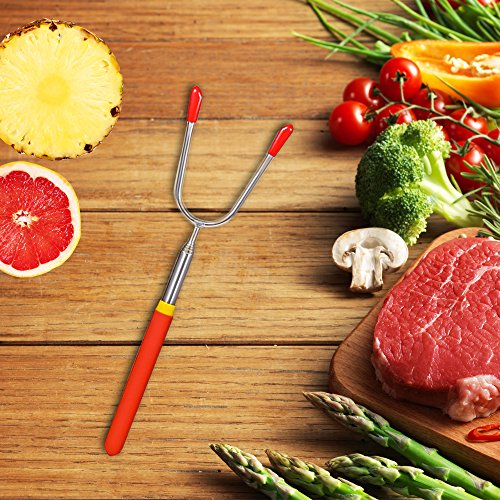 eBoot Grillspieße Grillbesteck Lagerfeuer Grillfest Gabeln für Camping, Freizeit, Lagerfeuer, Gartenparty, Geburtstag (5er Pack, Multi Color) - 4