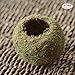 Produktbild Natur Dry Moos Ball Bonsai Pflanze getopft Hydrating Blumentopf grün Torfmoos Substrat