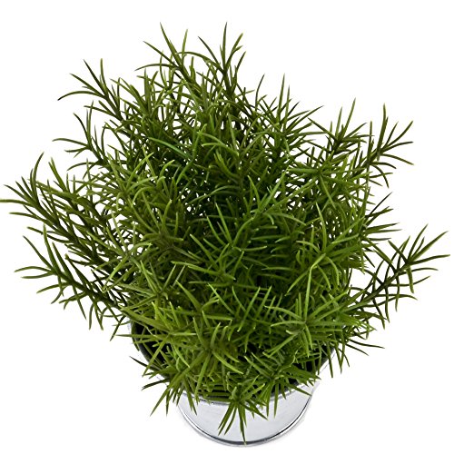Pflanze Gras im Topf Kunstblume 16x14x6cm grün Kunstpflanze - 2
