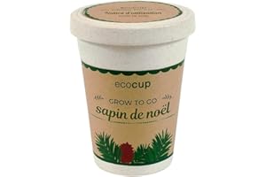 Feel Green Ecocup, Épicéa (Sapin de Noël), Idée Cadeau (100% Ecologique), Grow-Your-Own/Kit Prêt-à-Pousser, Plantes Dans Coffee Cup 10 x 8 cm, Produit En Autriche