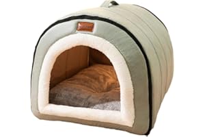 BBTISG Outdoor Pets Cat House for Outdoors, Semi-Enclosed Kennel for Pets Cold-Proof Warm Cat House for Outdoor Cats in Winter for Cats, Dogs & Small Animals (Green)