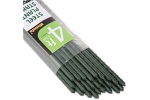 Mininfa Green Metal Garden Plant Stakes 120cm(4ft) x 11mm, 25 Pack, Plastic Coated Steel Garden Canes Supports Climbing for Tomatoes, Trees, Beans, 25 Pack