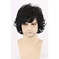 e estelle Men's Fluffy Wigs Mens Short Curly Fluffy Wig Natural Men Wig Synthetic Full Wigs (yilannew-1b)