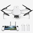 Potensic ATOM LT GPS Drone with Camera 2.5K, 4km Transmission, Under 249 g, 80 mins Flight Time with 2 batteries, RTH/Follow me/Waypoint/Circle Flight, EIS Camera Drone for Adults Beginner, C0