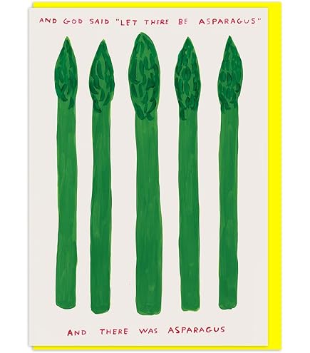 Brainbox Candy Official David Shrigley - Funny Birthday Cards Humorous Happy Birthday ‘Vegan Alternative’ Perfect For Best Friends Mates Him- Sold - View #4