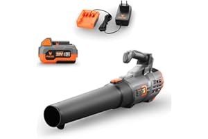 Soffiatore a batteria 20V FUXTEC FX-E1LB20, SET con 1 x batteria 4Ah e caricatore 1 A, velocità aria 38m/s, leggero e silenzioso- soffiafoglie per la cura del vostro giardino