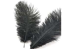 DUORIES 10 Stück 15-20cm Natürliche Straußenfedern,Strauß Feder zum Basteln,Bastel Federn für DIY Traumfänger Zubehör,Heimdekoration,KostüMe,Tischdeko Hochzeit Party Fest Hüte Kleidung Dekoration,Schwarz