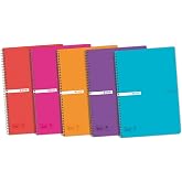 Enri 5 x A4 Notebooks (Fool), Plastic Cover, 80 Sheets Squared 4 x 4