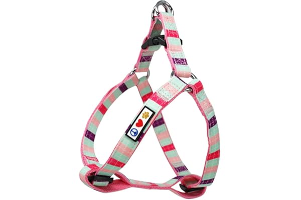 Pawtitas Harnais Réglable pour Chien et Chiot - Anti Traction, Multicolore, Extra Petit - Sarcelle/Rose/Violet