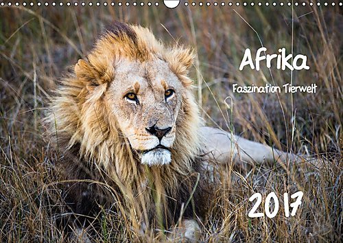 Afrika - Faszination Tierwelt (Wandkalender 2017 DIN A3 quer): Afrika - Faszination Tierwelt (Monatskalender, 14 Seiten ) (CALVENDO Tiere)
