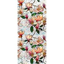 Pellicola Decorativa Runtoo Per Finestre - Design Boho Con Margherite Arcobaleno 40x101cm, Statica Senza Colla