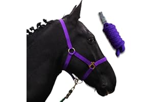 PFERDELINIS Cavezza per cavalli con maglia | maglia a cavallo con cavezza | cavezza shetty, pony, purosangue, full, X-Full con maglia (viola, pony)