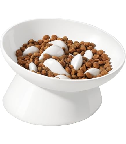 Cat Bowl & Slow Feeder 2 In 1 Anti Vomiting 2026 - Vet Ranch - We Love Pets