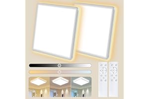 MJKOPEE 24W LED Ceiling Lights - 3000LM 30cm Bathroom Light with Remote Control, 3000-6500K 10%-100% Brightness Adjustable Ultra-Thin Modern Bath Ceiling Lights Lamp for Bedroom, Kitchen, White 2 PCS