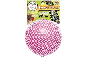JOLLY PETS Jolly Animali Giocattoli Jolly Bounce-n-Play Dog Toy
