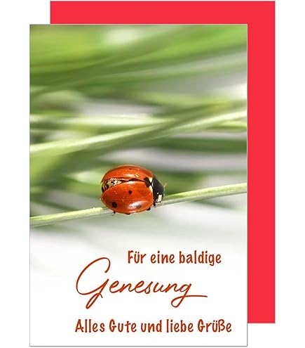 1 Carte D'anniversaire De Qualité Supérieure Avec Otif Oto 18 X 12 C Avec 1 Enveloppe, Carte