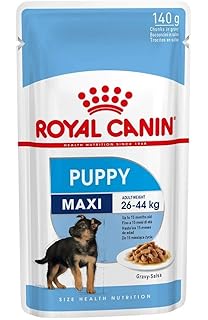 royal canin maxi starter 4 kg
