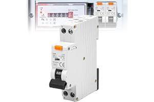 BAIFULAI Interruptor de protección FI, (2 pines, 230 V, 16 A) 30 mA fusible automático 16 A, 1P+N 6 kA, interruptor FI, interruptor FI de 2 pines, tensión nominal: AC230 interruptor diferencial, interruptor FI