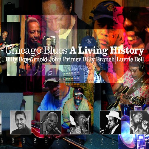 couverture de : Chicago blues : a living history