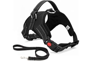 Musonic No Pull Dog Harness Breathable Adjustable Comfort Free Lead Included for Small Medium Large Dog Best for Training Walking S Black