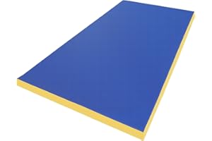 NIRO SPORTGERÄTE GMBH NiroSport RG-25 Tapis de Gymnastique 200 x 100 x 8 cm - Tapis de Gymnastique Souple - 25 kg/m³ - Fabriqué en Allemagne