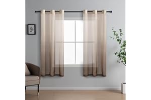DWCN Voile Curtain Brown Gradient Curtains for Living Room Net Curtains for Windows Sheer Bedroom Crurtains Eyelet Set of 2, 46 x 54 Inches