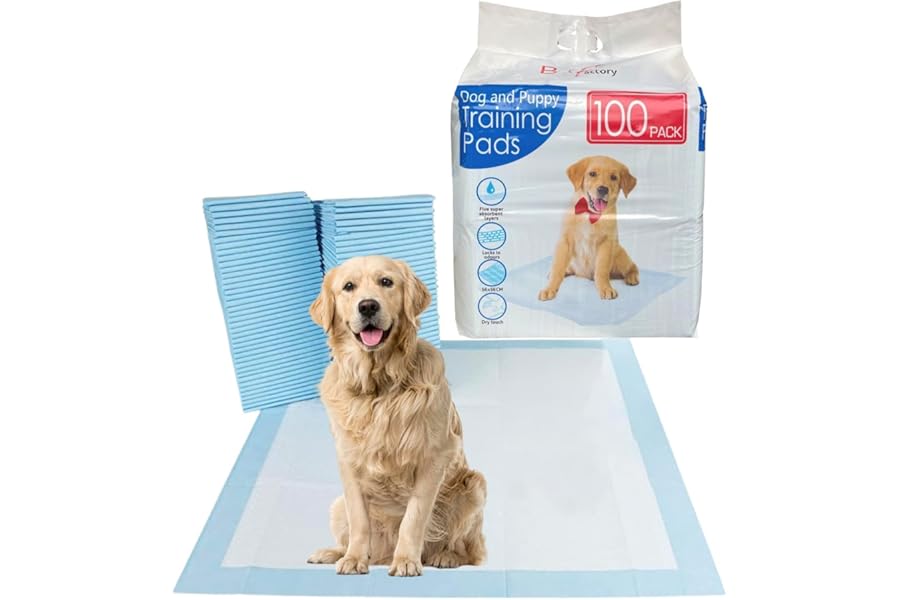 Bargain Factory - Pet Potty Training Pads Pack of 50 for Dogs Puppy Pads - Super-Absorbent 5 Layers Waterproof - 56 x 56 cm - Disposable Puppy Pee Pads