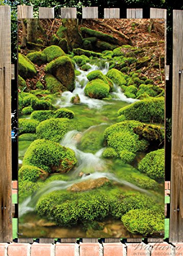 Wallario Garten-Poster Outdoor-Poster - Moosiger Bach in Premiumqualität, Größe: 61 x 91,5 cm, für den Außeneinsatz geeignet