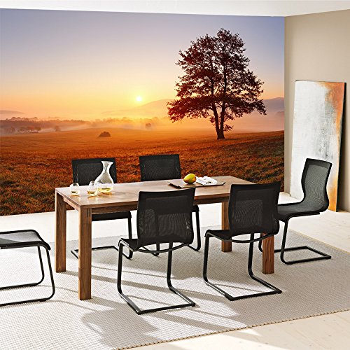 Vlies Fototapete 400×280 cm – Top ! PREMIUM PLUS Foto Tapete ! Wandbilder XXL Wandbild Bild Fototapeten Tapeten Wandtapete Wanddeko Wand Sonnenaufgang Baum Natur – no. 238 - 7
