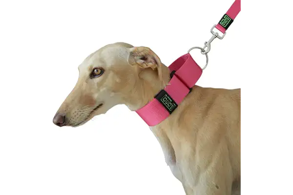 bub's Collar Martingale - Collar para Perro, antialérgico y Suave.Diseñado para Todo Tipo de Razas de Perro y Especialmente para Galgos y Podencos (Rosa, L 50 mm Ancho)