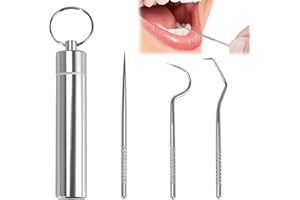 MEKEET 1PCS Toothpick Holders Metal Toothpick Set with 304 Stainless Steel Toothpick Set Reusable Titanium Tooth Pick Metal Pill Box with Key Chain Travel Toothpick in Case for Outdoor Activities