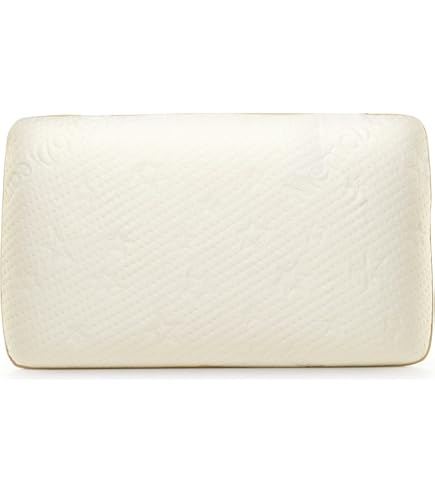 Alkamto Oreiller De Voyage Ergonomique En Mousse à Mémoire De Forme Avec Coussin Thermorégulateur - Sac De Transport étanche Inclus