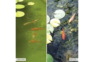 KLEENEZE Clarificador de estanque