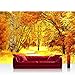 Produktbild Vlies Fototapete 200x140 cm PREMIUM PLUS Wand Foto Tapete Wand Bild Vliestapete - AUTUMN LEAVES - Natur Herbstblätter Wald Bäume Baum Forest Herbst - no. 079