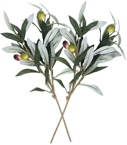Olijfboom | Olijftakken | Botanische foto | Groen van Mirjam Broekhof