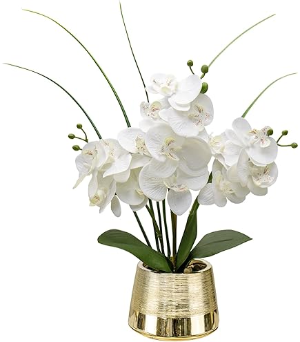 Fleurs Artificielles De Camélia Avec Vase En Verre - Grandes Fleurs Crème, Eau Artificielle - Décoration Maison Et Bureau