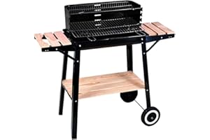 SF SAVINO FILIPPO Barbecue braciere portatile in metallo ferro e acciaio a legna e carbonella BBQ carrello grill