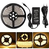 LEDMO Tira de luz, Tira de luz LED, 2700K Blanco cálido SMD2835-600leds IP65 Resistente al Agua 5 metros DC12V 15LM/LED de iluminación de tira llevada flexible, Kit Completo con fuente de alimentación 12V 5A.
