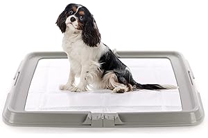 Aqpet Friends BauBox – Arenero para Perros, Inodoro Plegable 86 x 62 cm | Bandeja Porta Alfombrillas absorbentes, Ideal para adiestramiento de Cachorros y Uso en casa