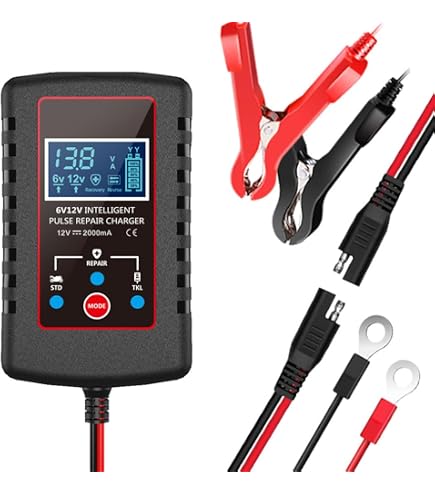 Caricabatteria Intelligente Riloer 6V/12V 1000mA | Mantenitore Automatico Per Moto E Auto Con Protezioni - 2